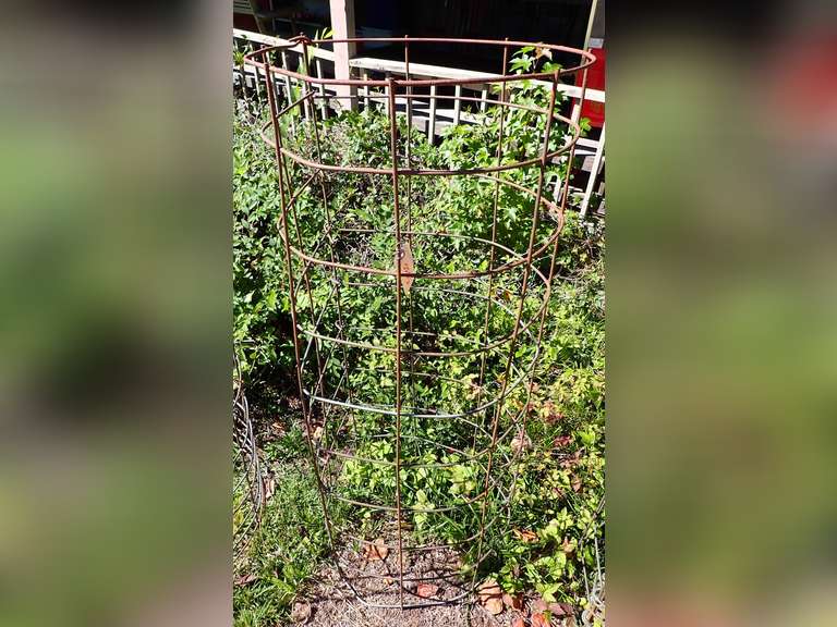 Large Heavy Duty Metal Tomato Cage image