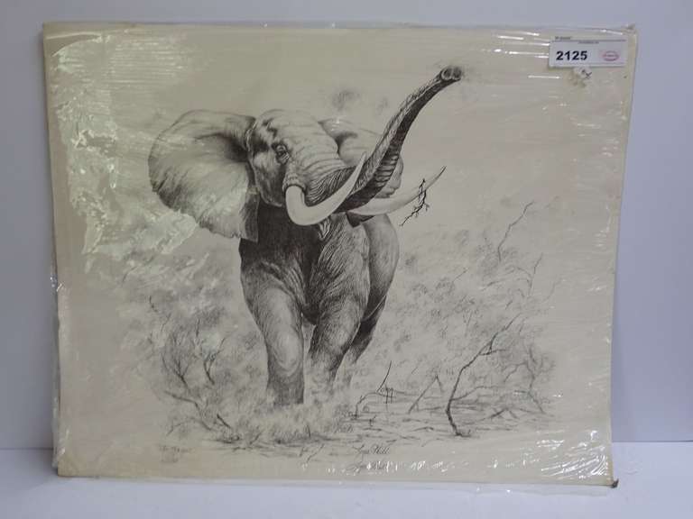 Lora Hull - The Rogue Elephant - Limited Edition Print - Signed & Numbered image
