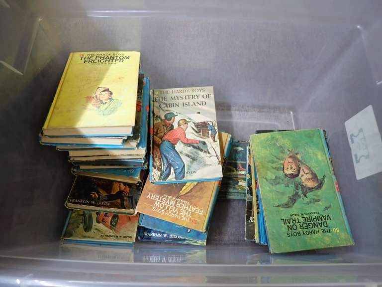 Lot of Hardy Boys Books image
