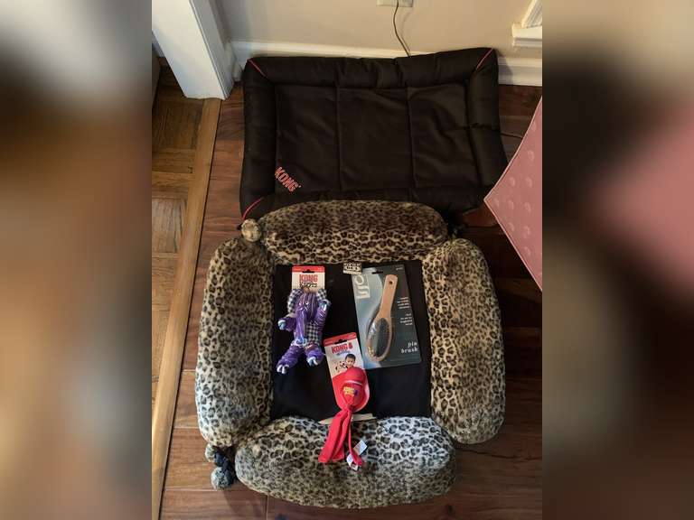 KONG DOG BED, PADDED LEOPARD DOG BED, 2 NEW KONG DOG TOYS & NEW DOG BRUSH - LIVING ROOM image