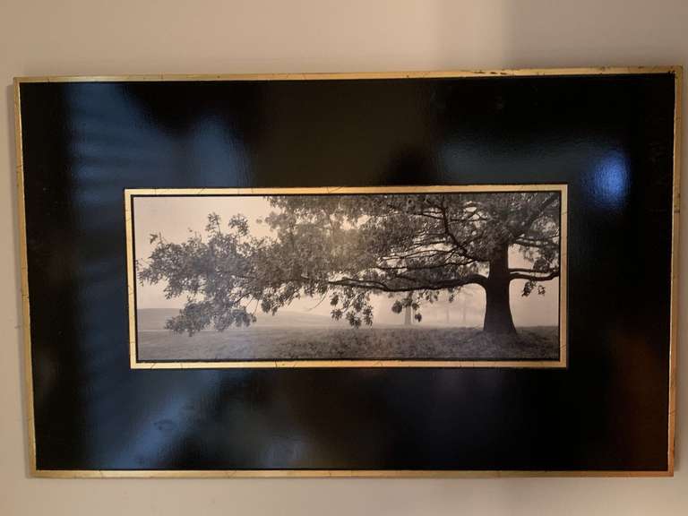 VERY HEAVY BLACK/WHITE "AUTUMN OAK" PLAQUE ON BOARD 29" LONG X 18" TALL - UP BED 1 image