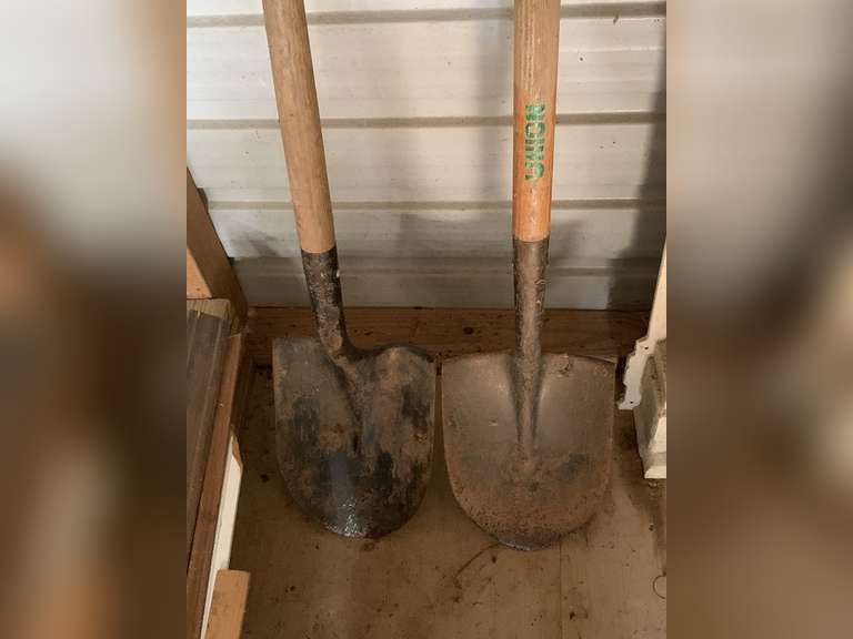 2 SHOVELS - SHED image