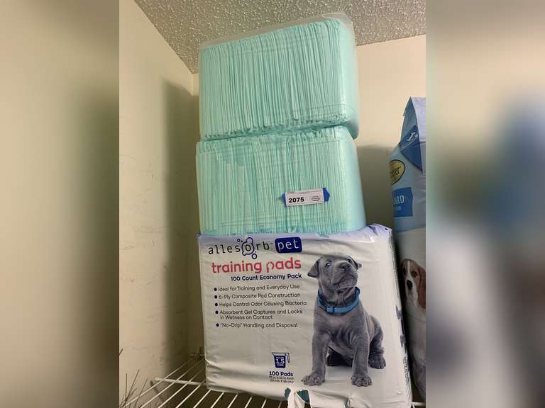 DOG TRAINING PADS (APPROX 200) - UP BED 1 CLOSET image