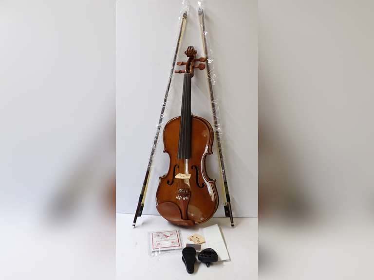 Violin with Two Bows, Case, and Accessories image