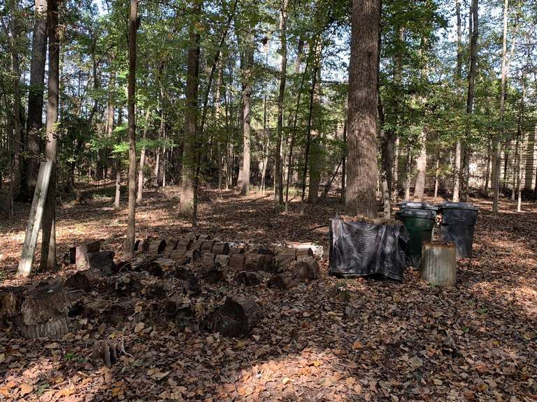 MISC OUTSIDE LOT TO INCLUDE BURN BARRELS, TRASH CANS, SAW HORSE, MILK CRATES & MORE - BACKYARD image