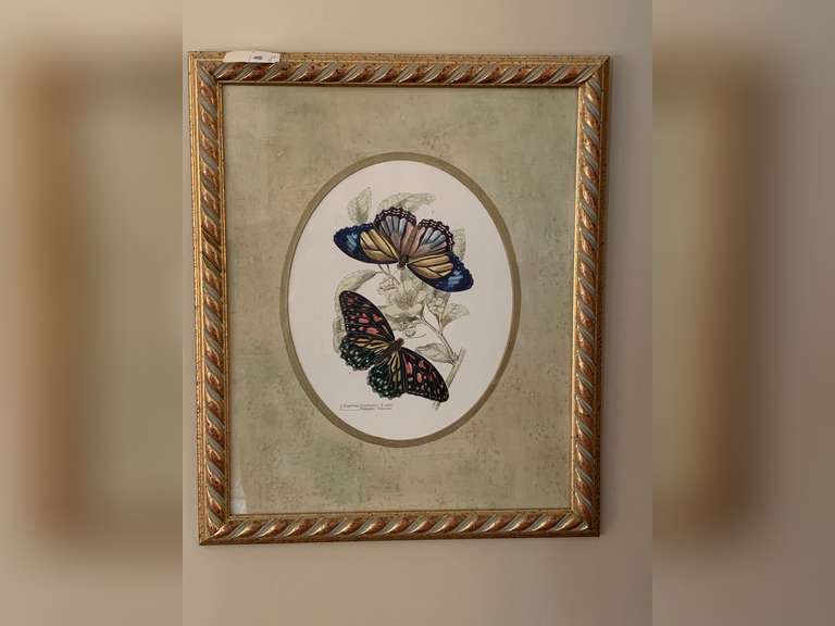 ANTIQUE NICELY DOUBLE MATTED/FRAMED BUTTERFLY PRINT 16" X 19" - LIVING ROOM image