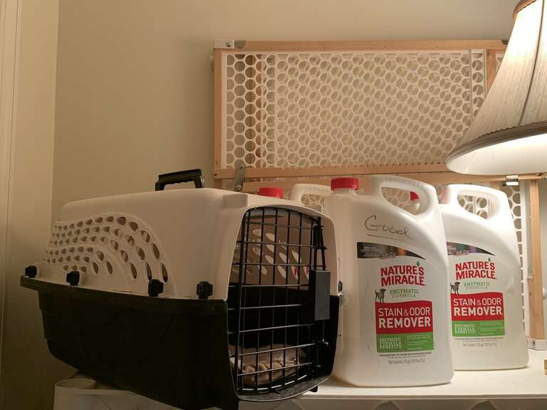 SHELF LOT TO INCLUDE SMALL PET CARRIER, 3 GALLON CONTAINERS OF STAIN & ODOR REMOVER FOR PETS, FLAG POLE & OUTDOOR UMBRELLA - FOYER image