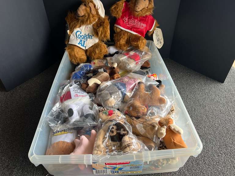 Storage tub of assorted beanie babies, and more. See pictures or details. image