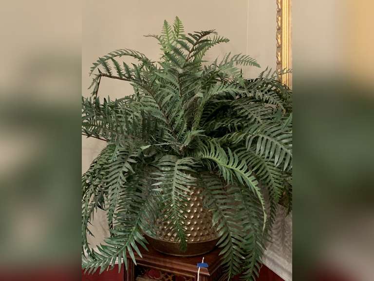 EXTRA LARGE METAL PLANTER WITH SILK FERNS 10" ROUND X 10" TALL - DINING ROOM image