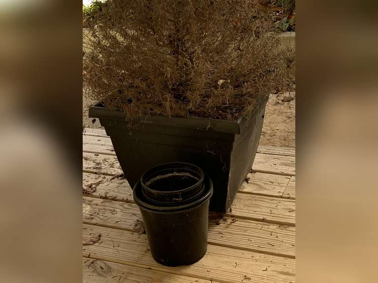 LARGE BLACK RESIN SQUARE PLANTER 17 1/2" SQUARE X 14 1/2" TALL - SIDE PORCH image