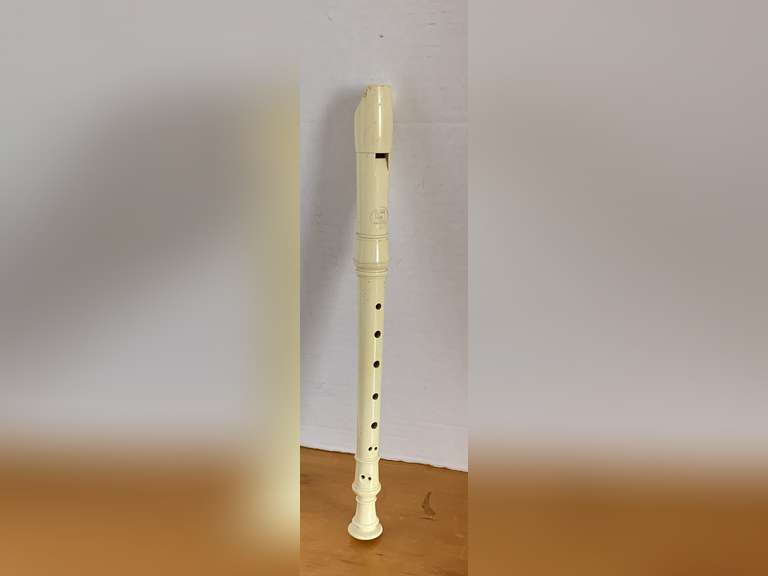 SUZUKI FLUTE - CHECKOUT image