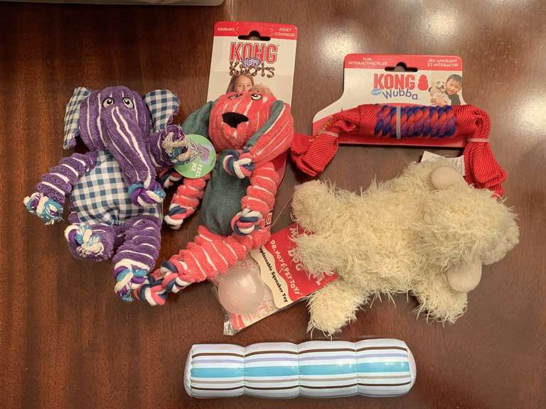 5 DOG TOYS (2 NEW KONG) - FOYER image