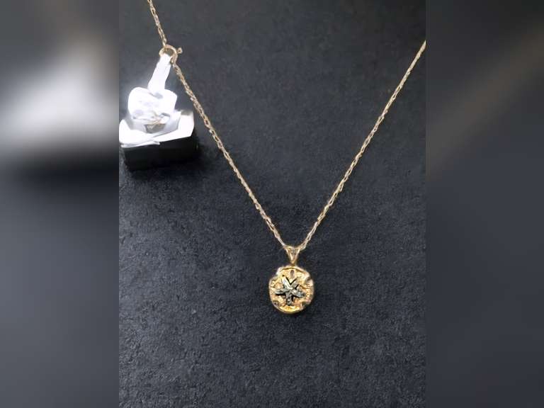 14k Gold Sand Dollar Starfish Necklace (0.76 grams) - This was a pawned item not new image