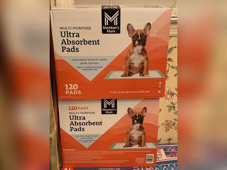 240 NEW DOG TRAINING PADS - UP HALL BATH image