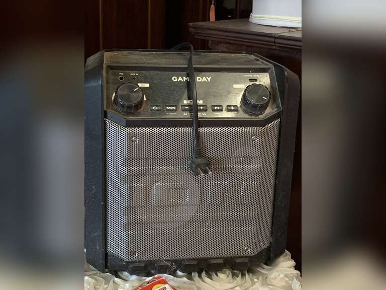 ION GAMEDAY SPEAKER image