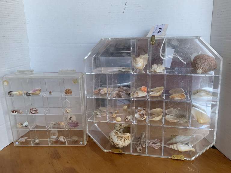2 ACRYLIC DISPLAY CASES WITH ASSORTED SEA SHELLS 13X12, 8 1/2" SQUARE image