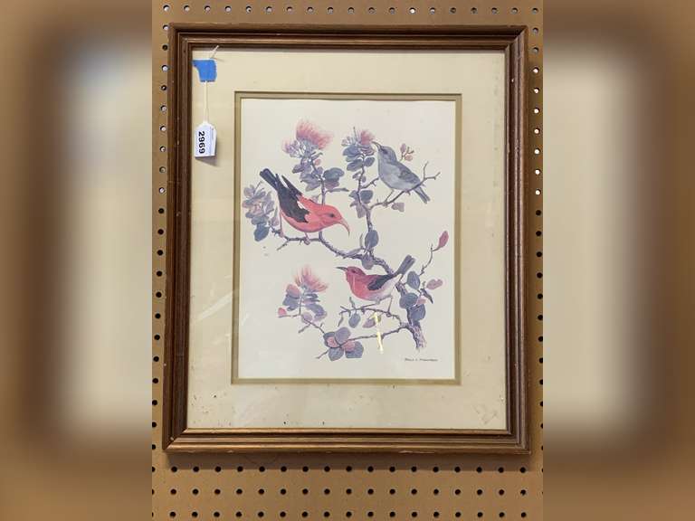 VINTAGE DALE C. THOMPSON FRAMED HAWAIIAN HONEYCREEPER WATERCOLOR PRINT 17 X 20 image