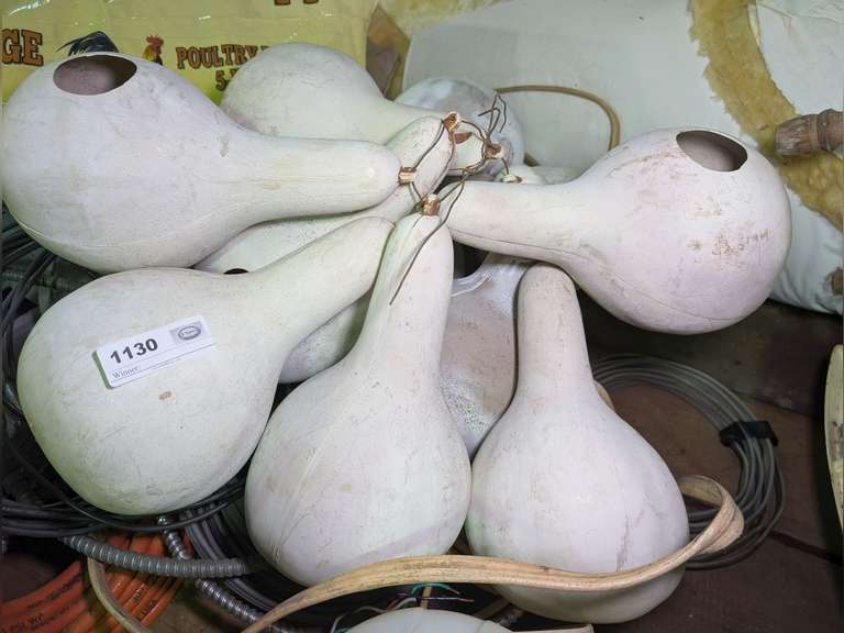PURPLE MARTIN GOURDS image