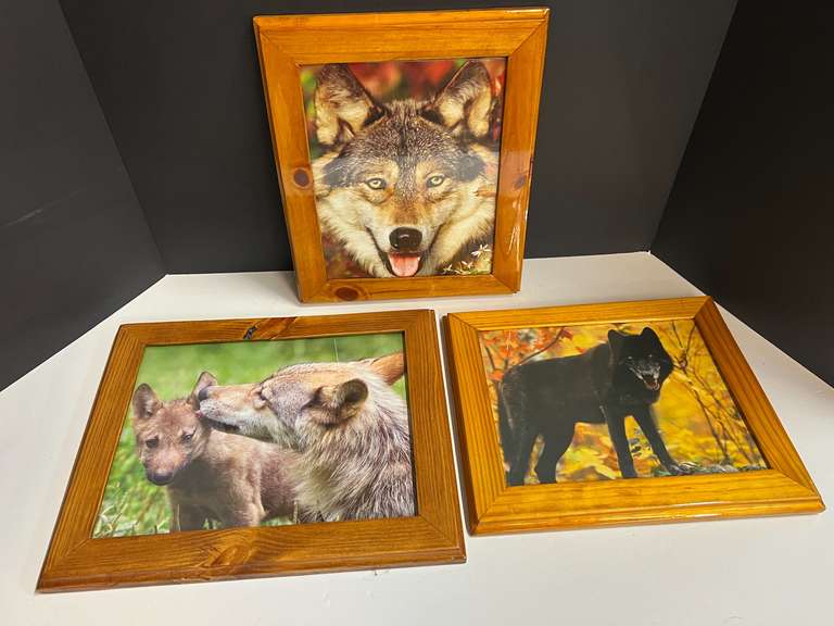 Framed photographic wolf prints, set of three, see pictures for details. image