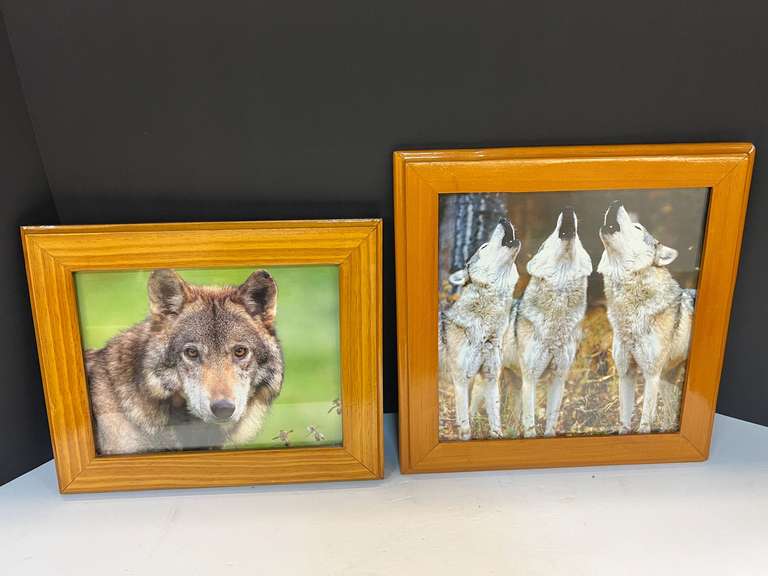 Framed photographic wolf prints, set of two, see pictures for details. image