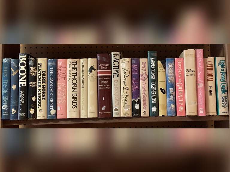 SHELF LOT OF HARDBACK BOOKS (23 BOOKS) image