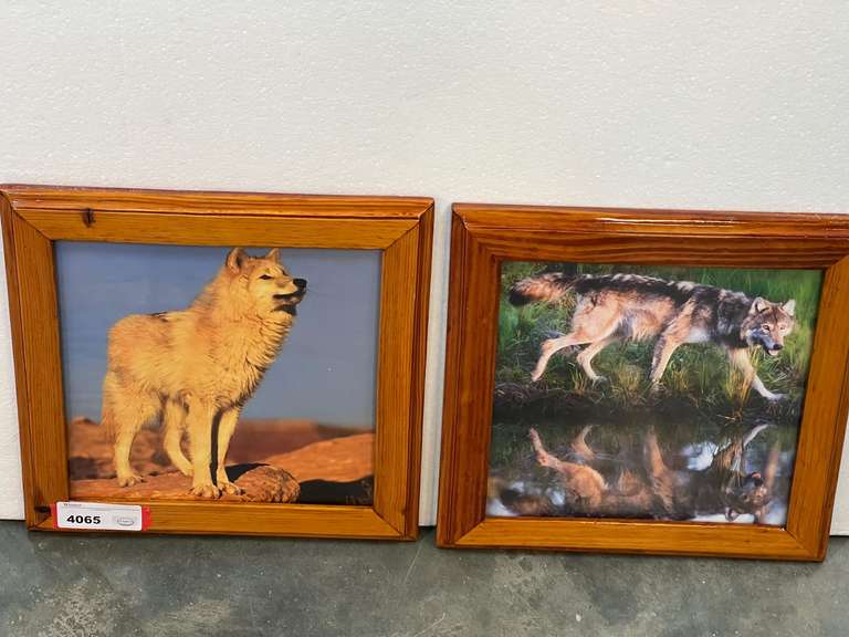 Framed photographic wolf prints, set of two, see pictures for details. image