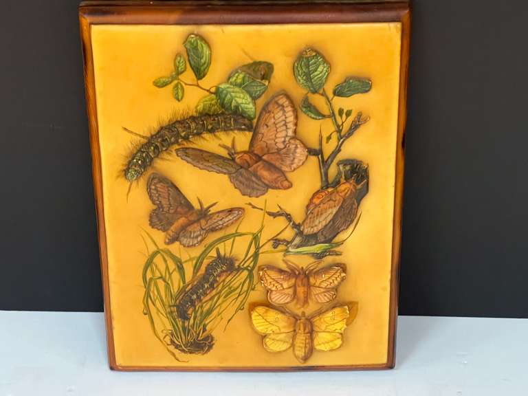 Decorative plaque featuring lappet moths and their caterpillars, see pictures for details. image