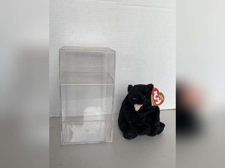 2000 TY BEANIE BABY "CINDERS" IN DISPLAY BOX image