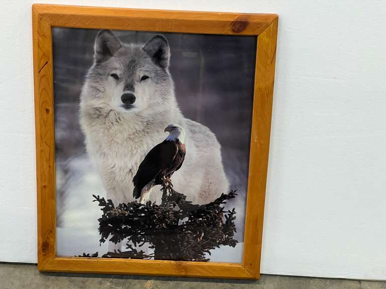 Framed wolf and bald eagle photographic art print, see pictures for details. image