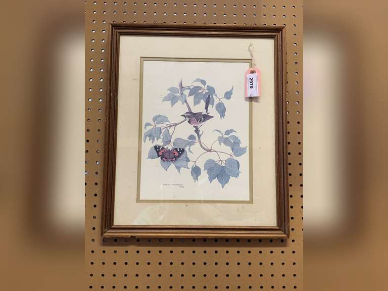 VINTAGE DALE C. THOMPSON FRAMED ELEPAIO & KAMEHAMEHA BUTTERFLY WITH WATERCOLOR PRINT 17 X 20 image