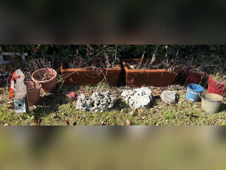 Front yard… Assortment of planters, small birdhouse, and more. See pictures for details. ￼ image