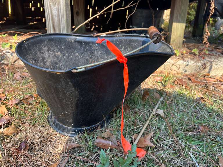 Backyard… Metal ash bucket, see pictures for details. image