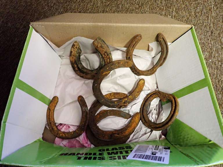 Group of Horseshoes image