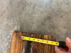 Mounted timber rattlesnake skin, with buttons, see pictures for details.