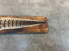 Mounted timber rattlesnake skin, with buttons, see pictures for details.