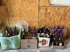 GR2…Empty glass wine bottle bottles for crafting, see pictures for details.
