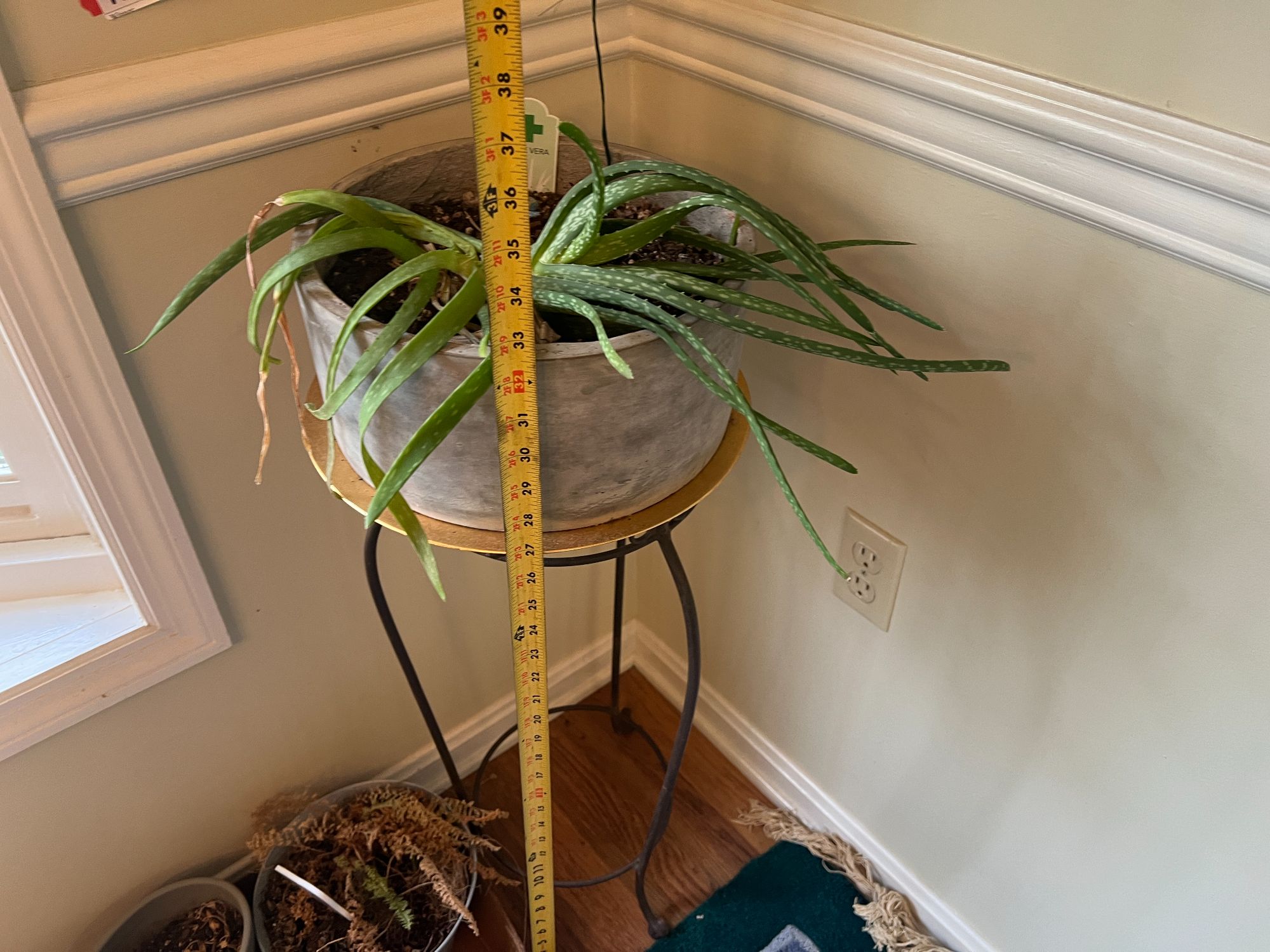 Lot image 5