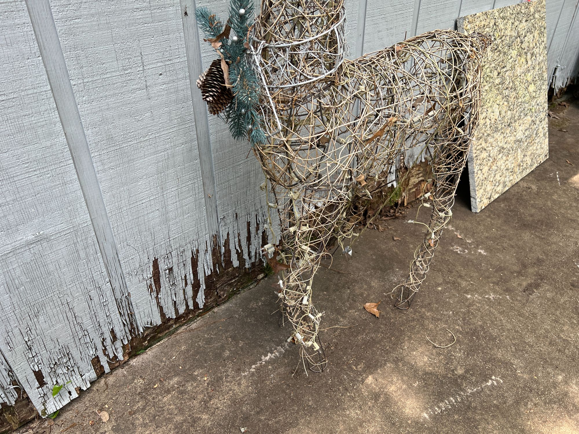 Lot image 3