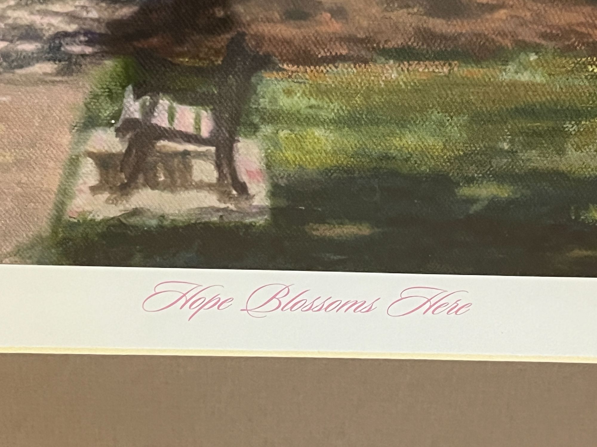 Lot image 4