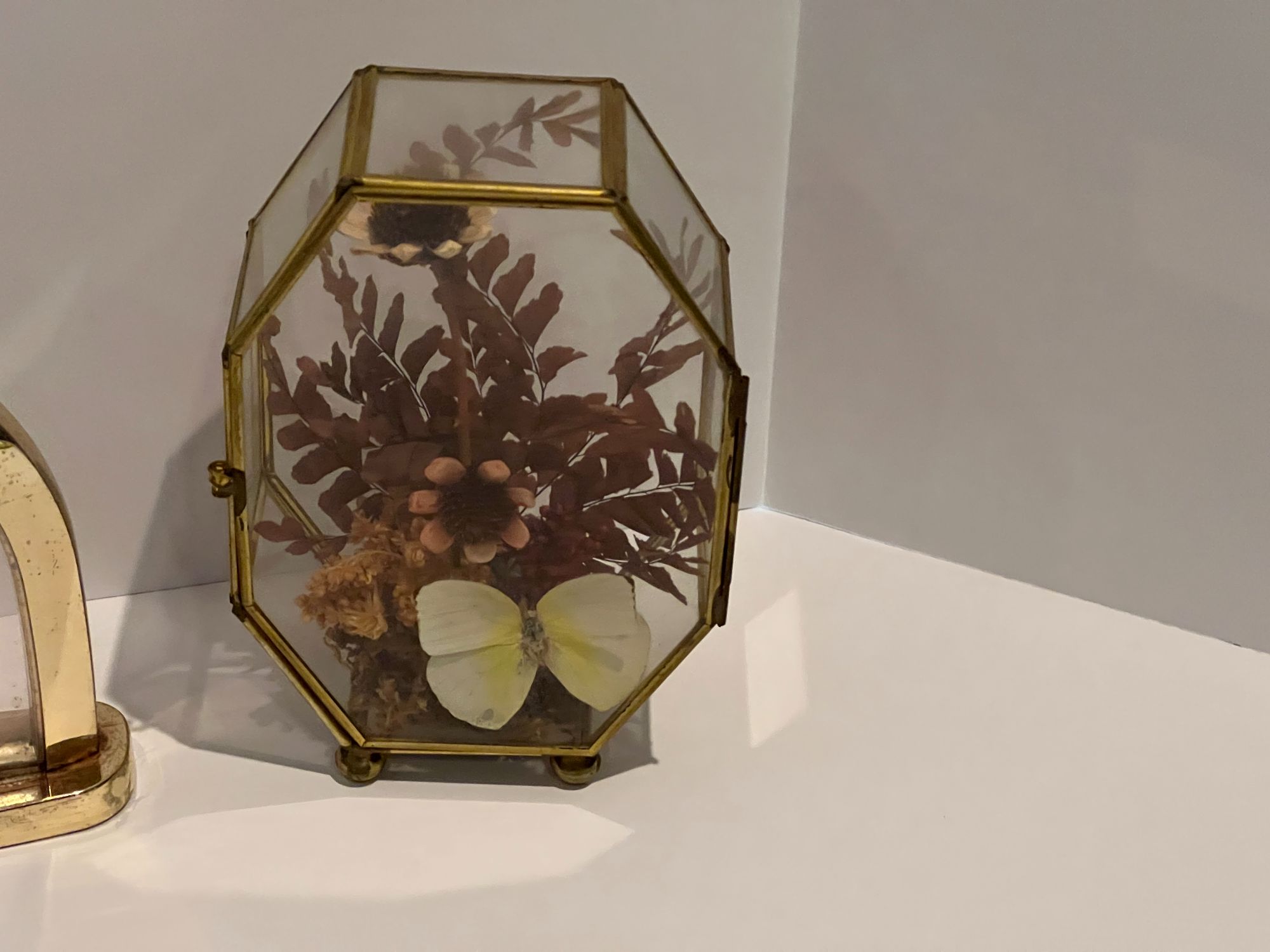 Lot image 3