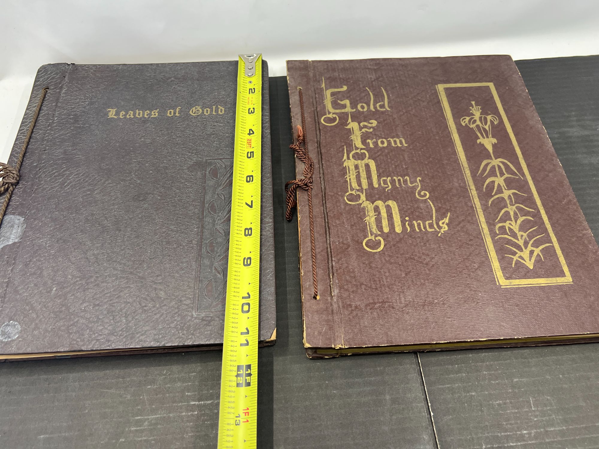 Lot image 10