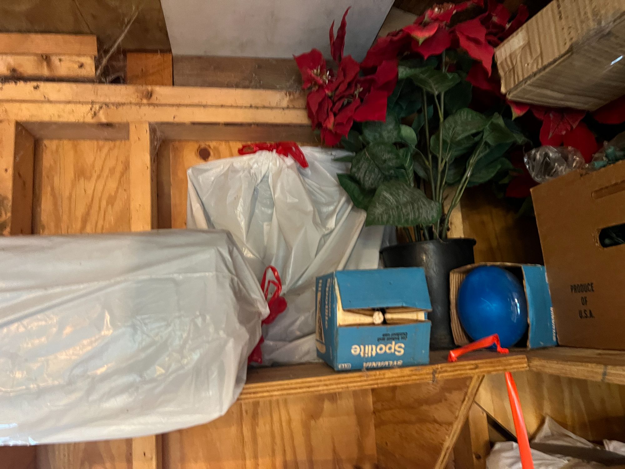 Lot image 12