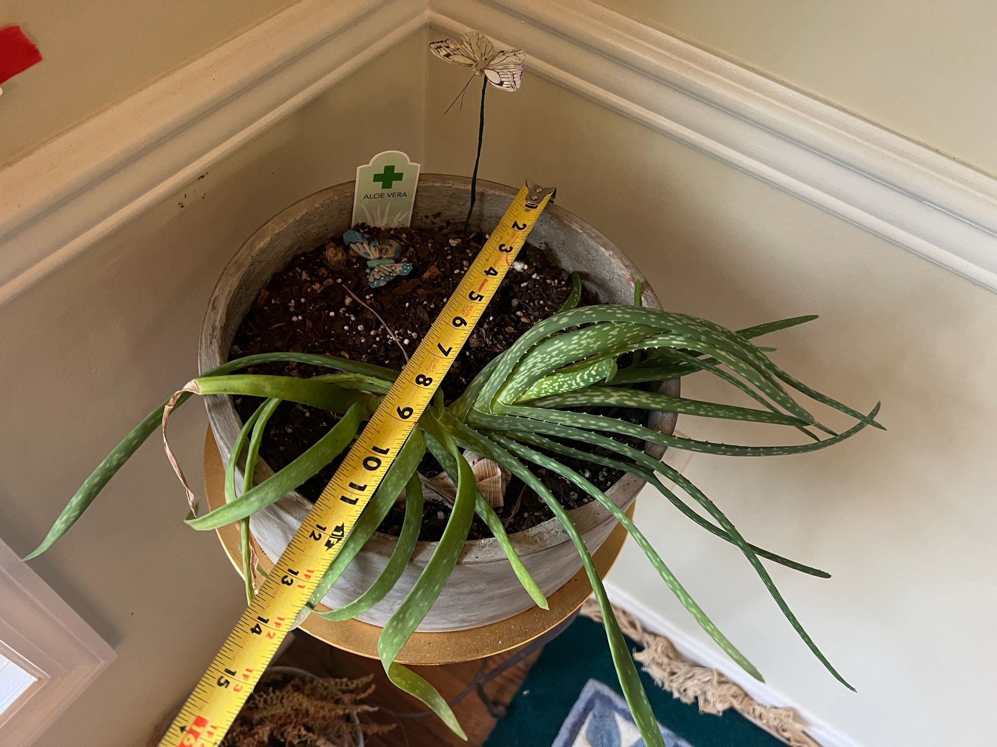 Lot image 6