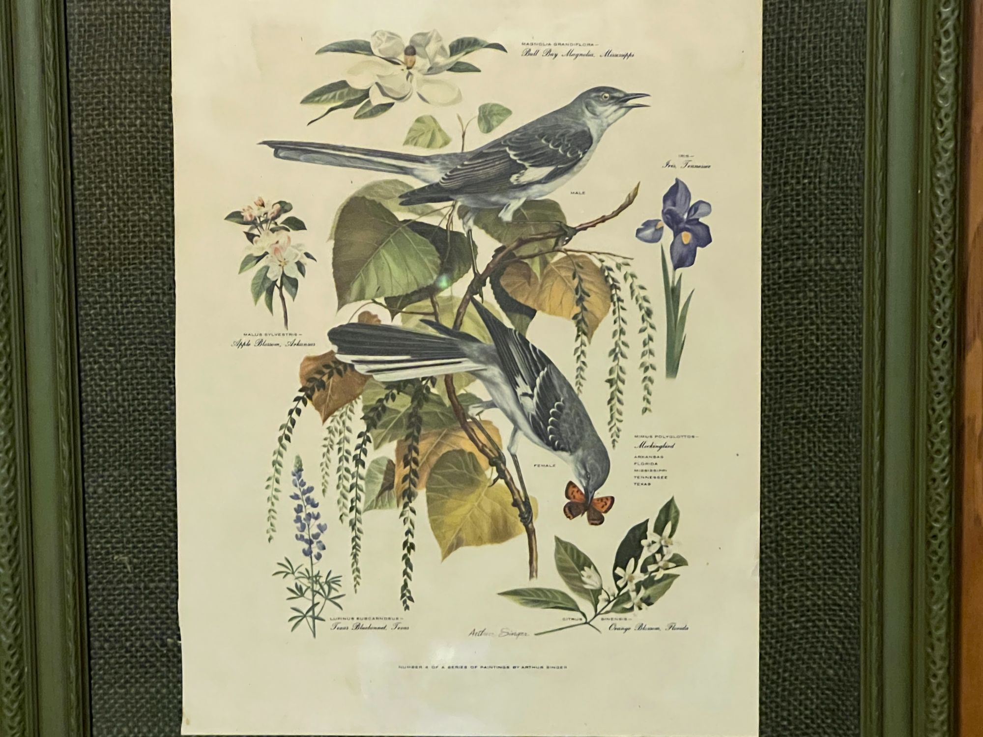 Lot image 2