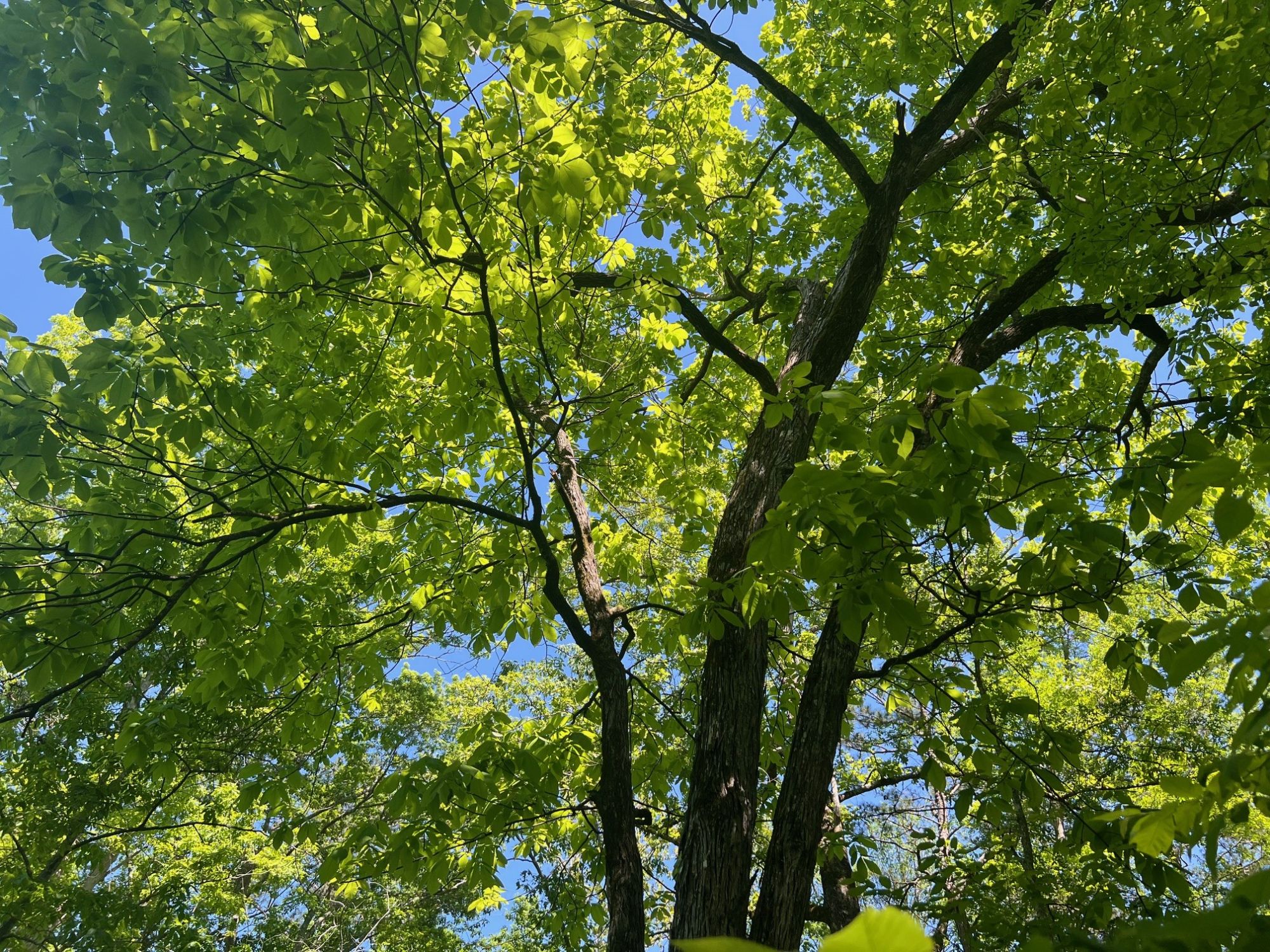 Lot image 12