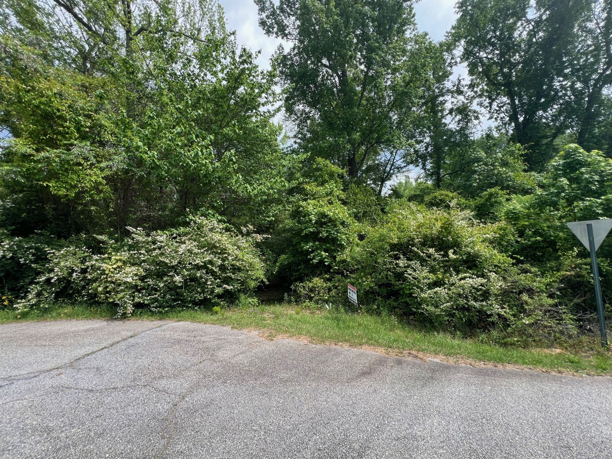 Lot image 6