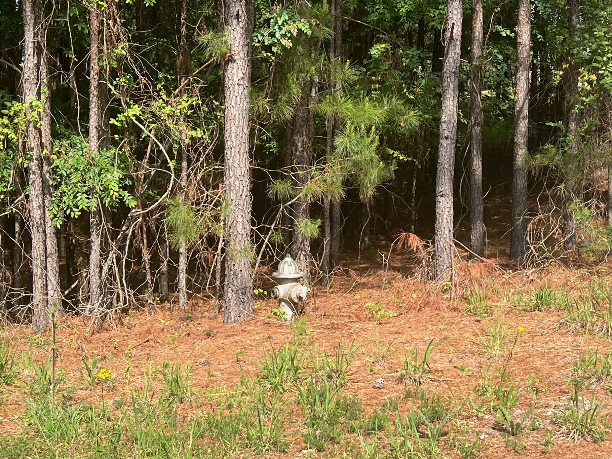 Lot image 5