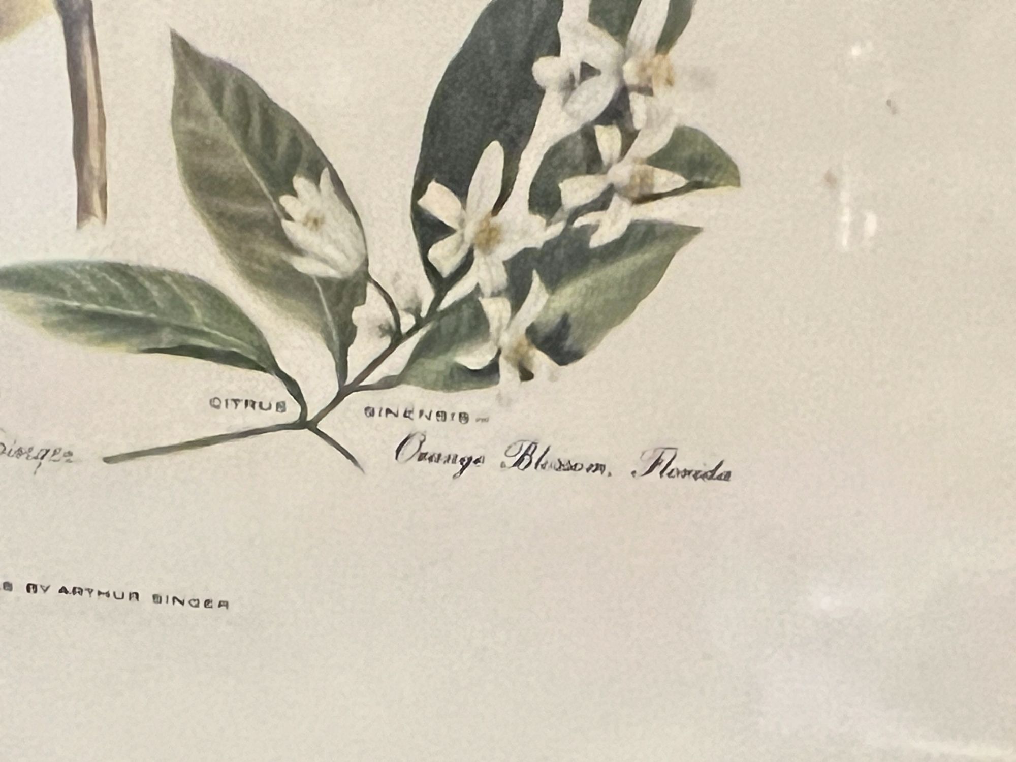 Lot image 3