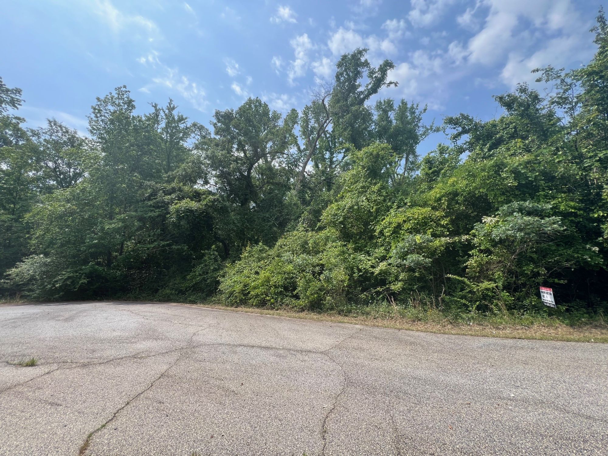 Lot image 6