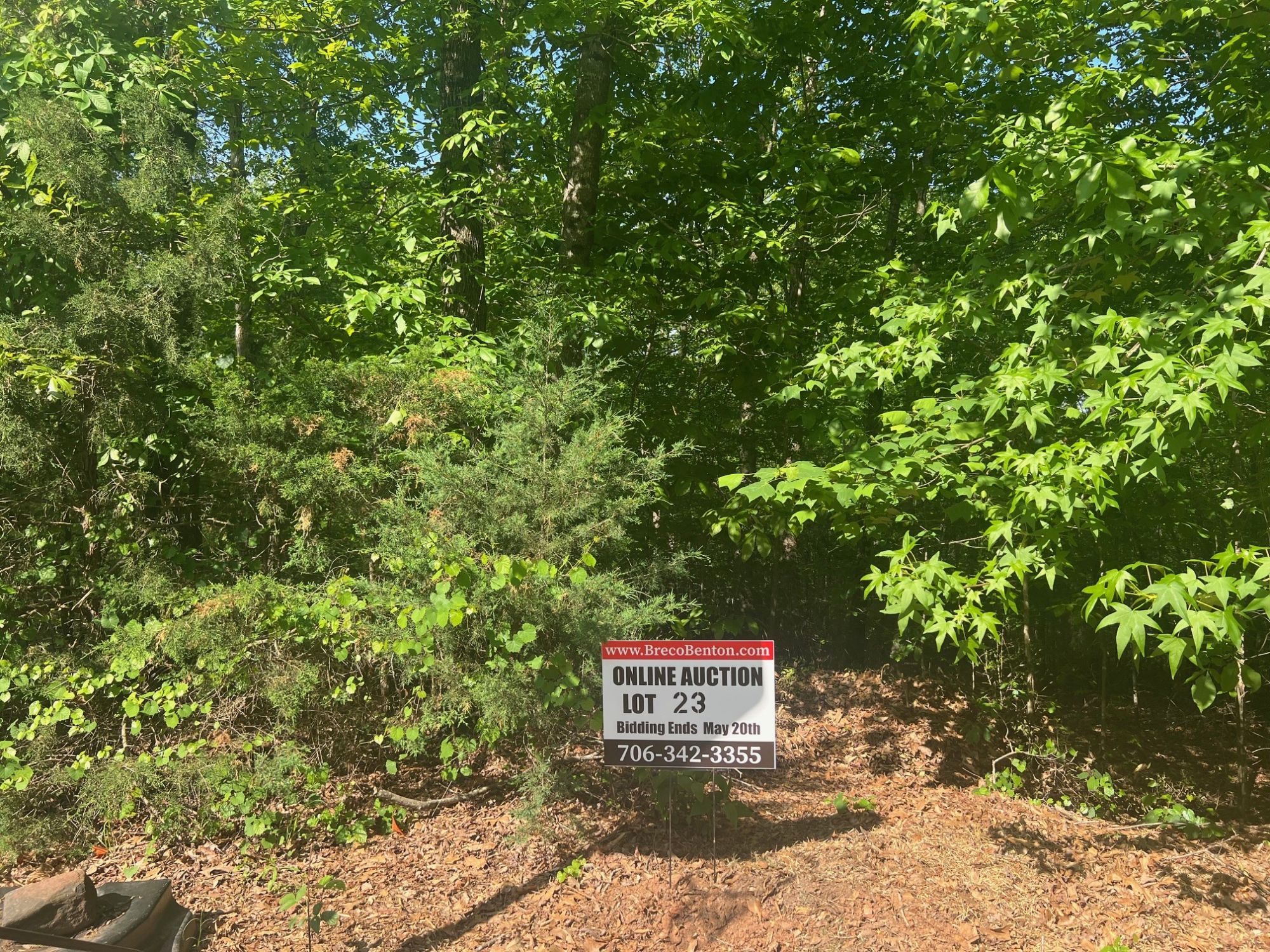 Lot image 6